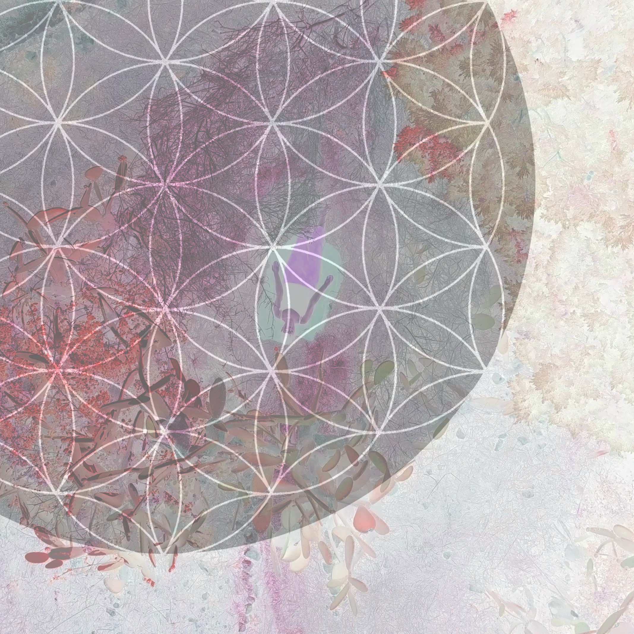 Lunar Nectar Nidra dream - 2020 30x30 cm