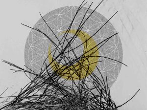 Lunar Nectar Yellow Moon - 2020 40x30