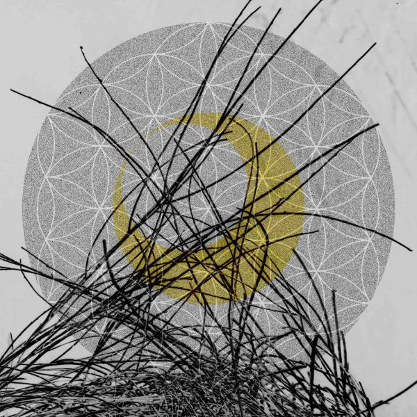 Lunar Nectar Yellow Moon - 2020 40x30