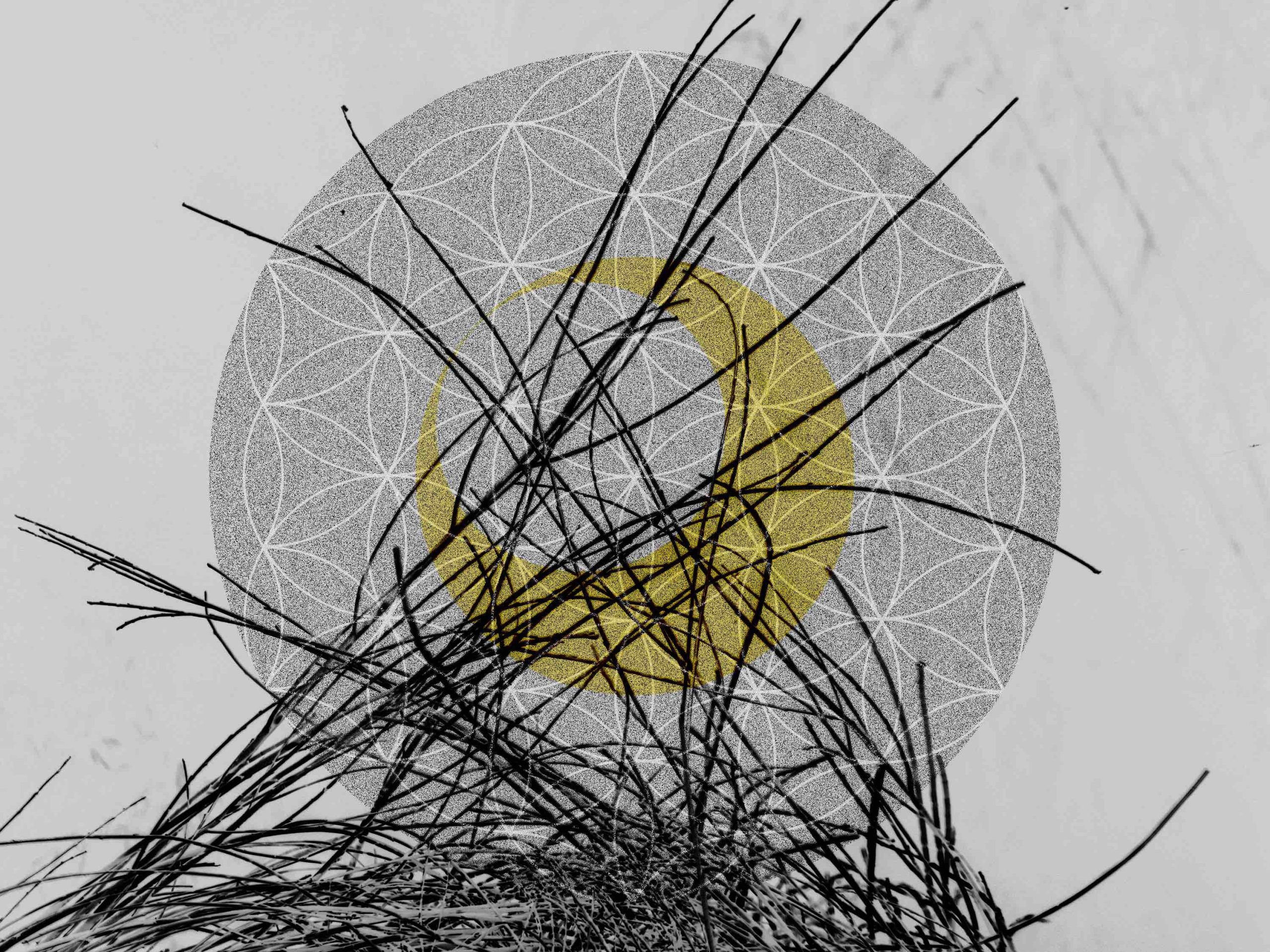 Lunar Nectar Yellow Moon - 2020 40x30