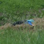 A performative reflection on living with—and without—water