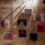 Lunar nectar exhibition