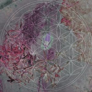 Lunar Nectar Nidra dream - 2020 30x30 cm