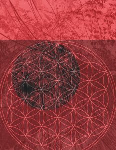 Lunar Nectar Red Vision - 2020 30x40
