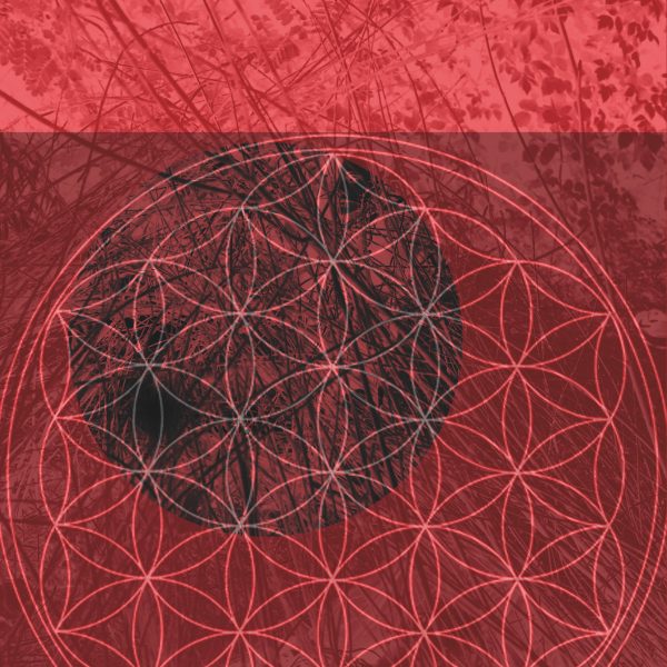Lunar Nectar Red Vision - 2020 30x40
