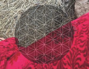 Lunar Nectar Red velvet - 2020 40x30 cm