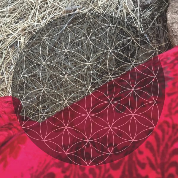 Lunar Nectar Red velvet - 2020 40x30 cm