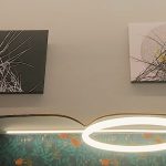 Lunar Nectar exhibition