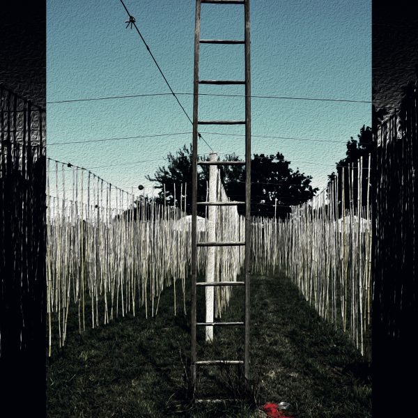 "Infernal Climb" 1