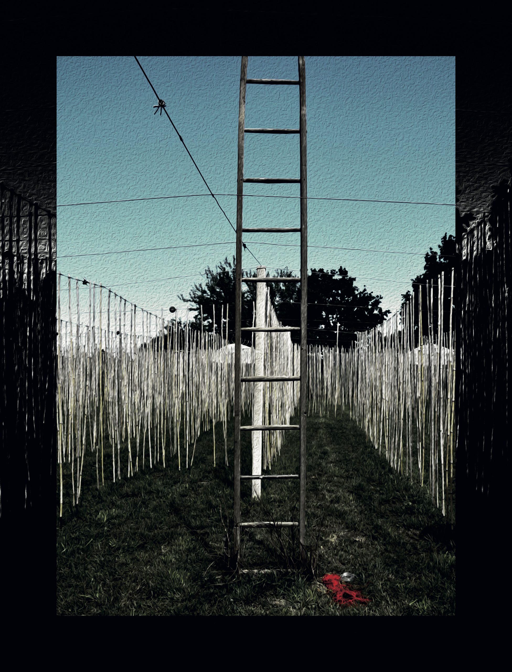 "Infernal Climb" 1