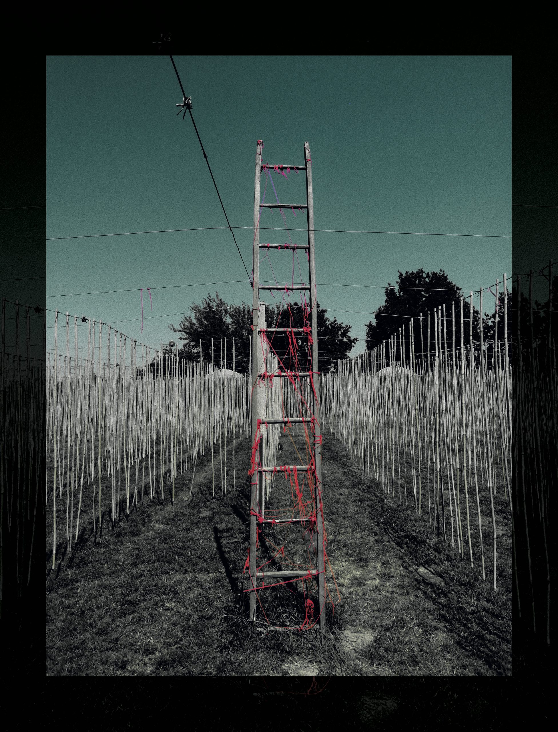 "Infernal Climb" 2